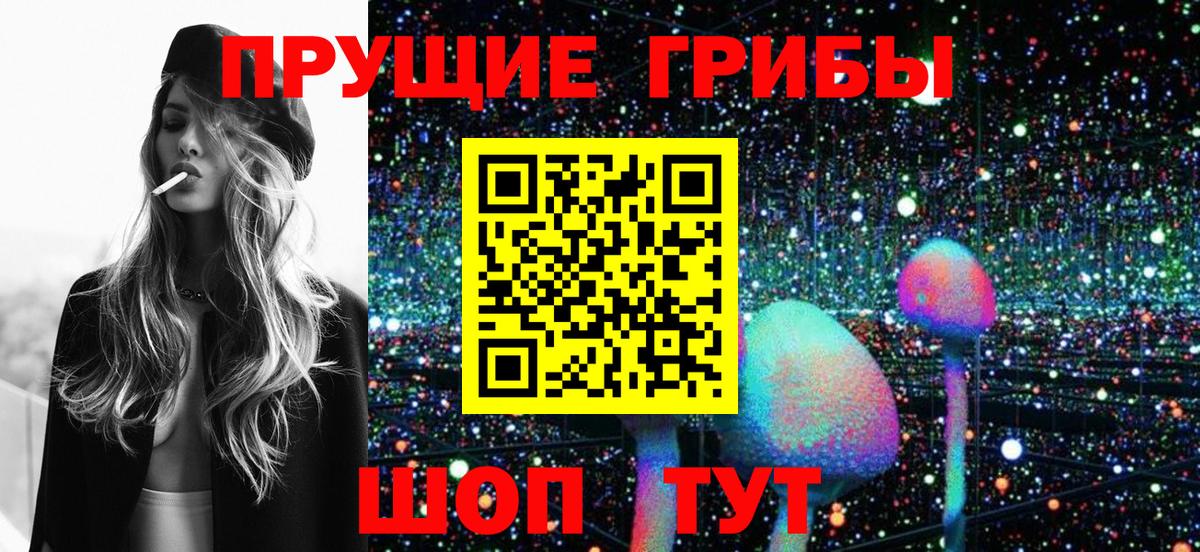 Псилоцибиновые грибы Psilocybine cubensis Усть-Илимск